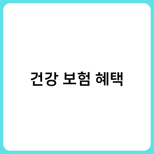 건강 보험 혜택