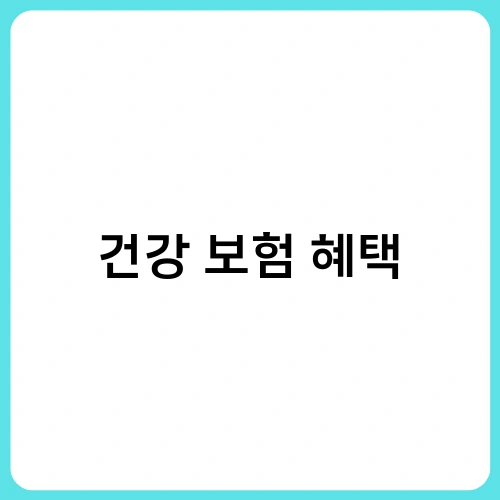 건강 보험 혜택 2