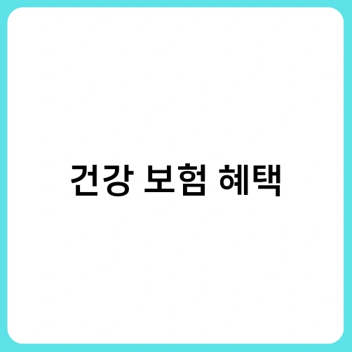 건강 보험 혜택 1