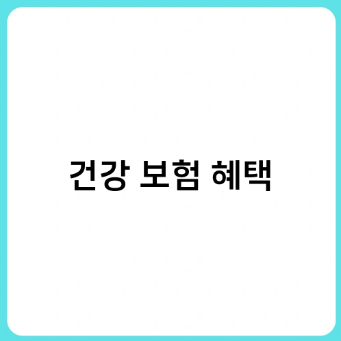 건강 보험 혜택 3