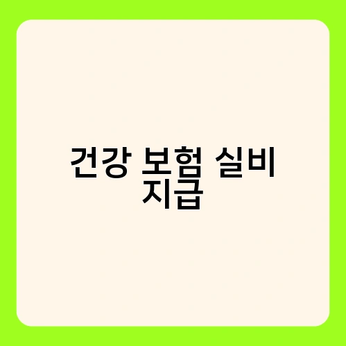 건강 보험 실비 지급