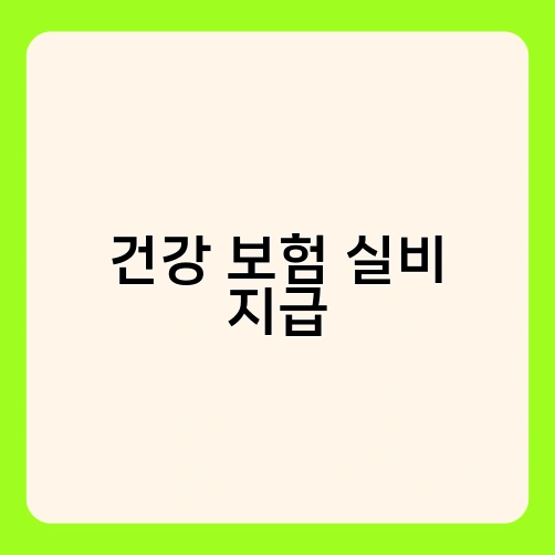 건강 보험 실비 지급 3